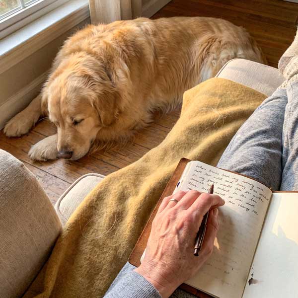 What You'd Tell Someone Bringing a Dog Home for the First Time