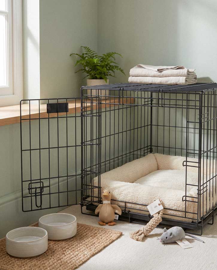 What to Prepare Before Bringing Them Home