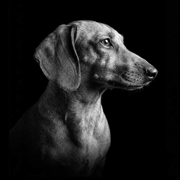 A Keepsake Portrait From a Photo