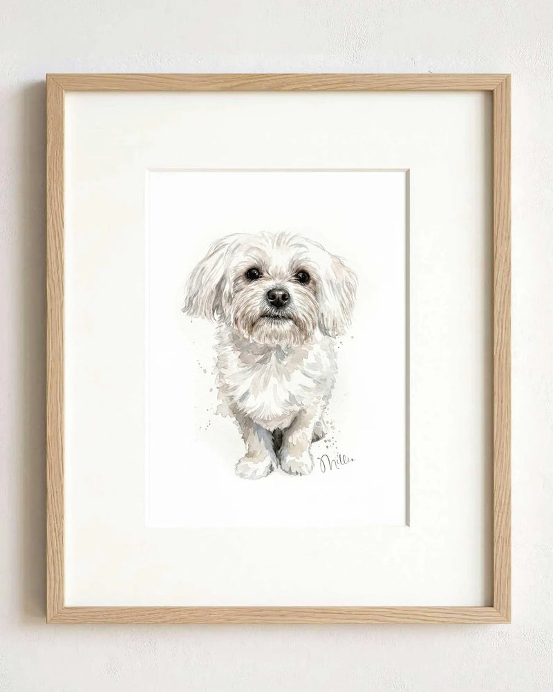 Portraits and Wall Art