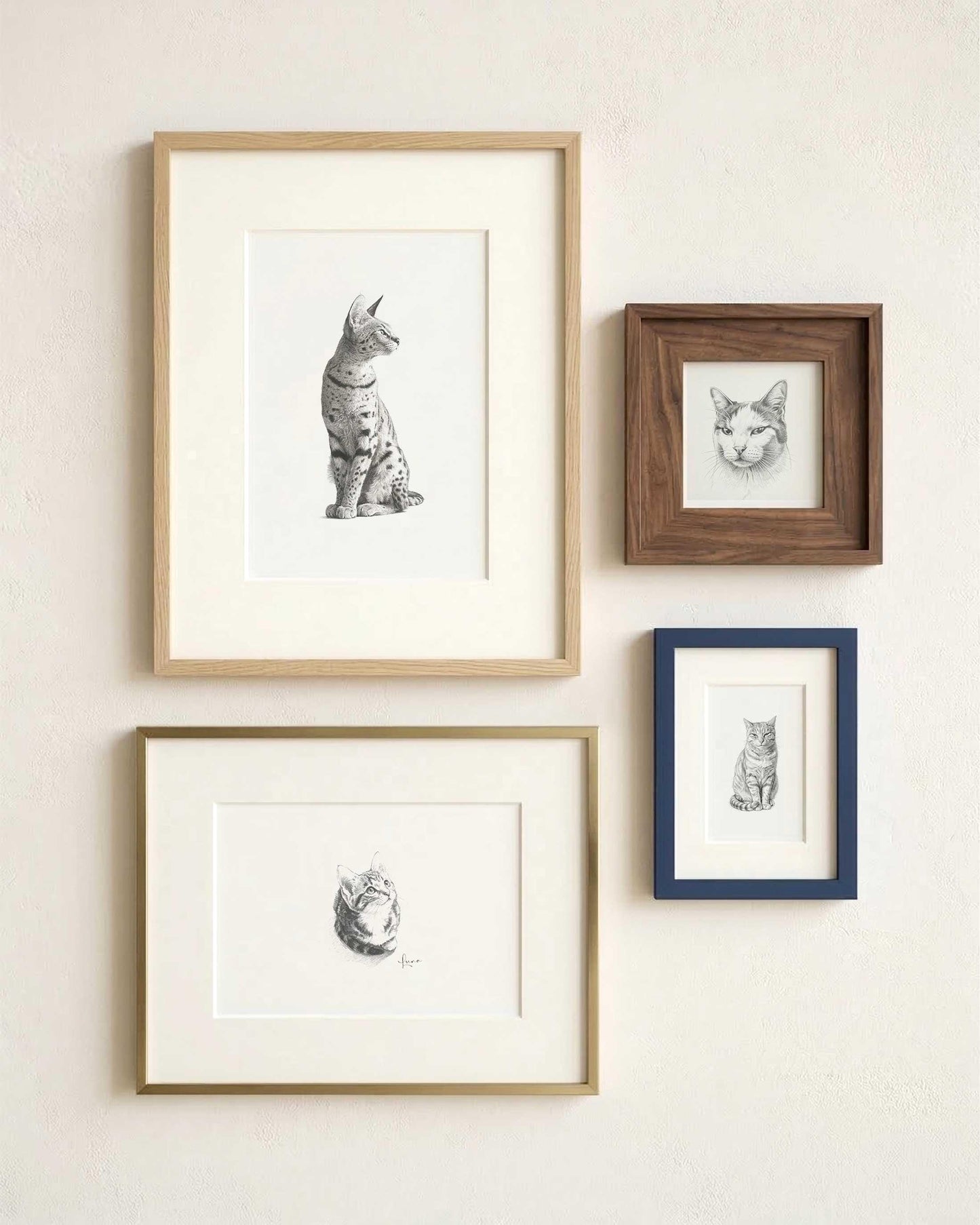 Custom Pet Portrait from Photo, Pencil Charcoal Bundle Drawing of cats in different frames