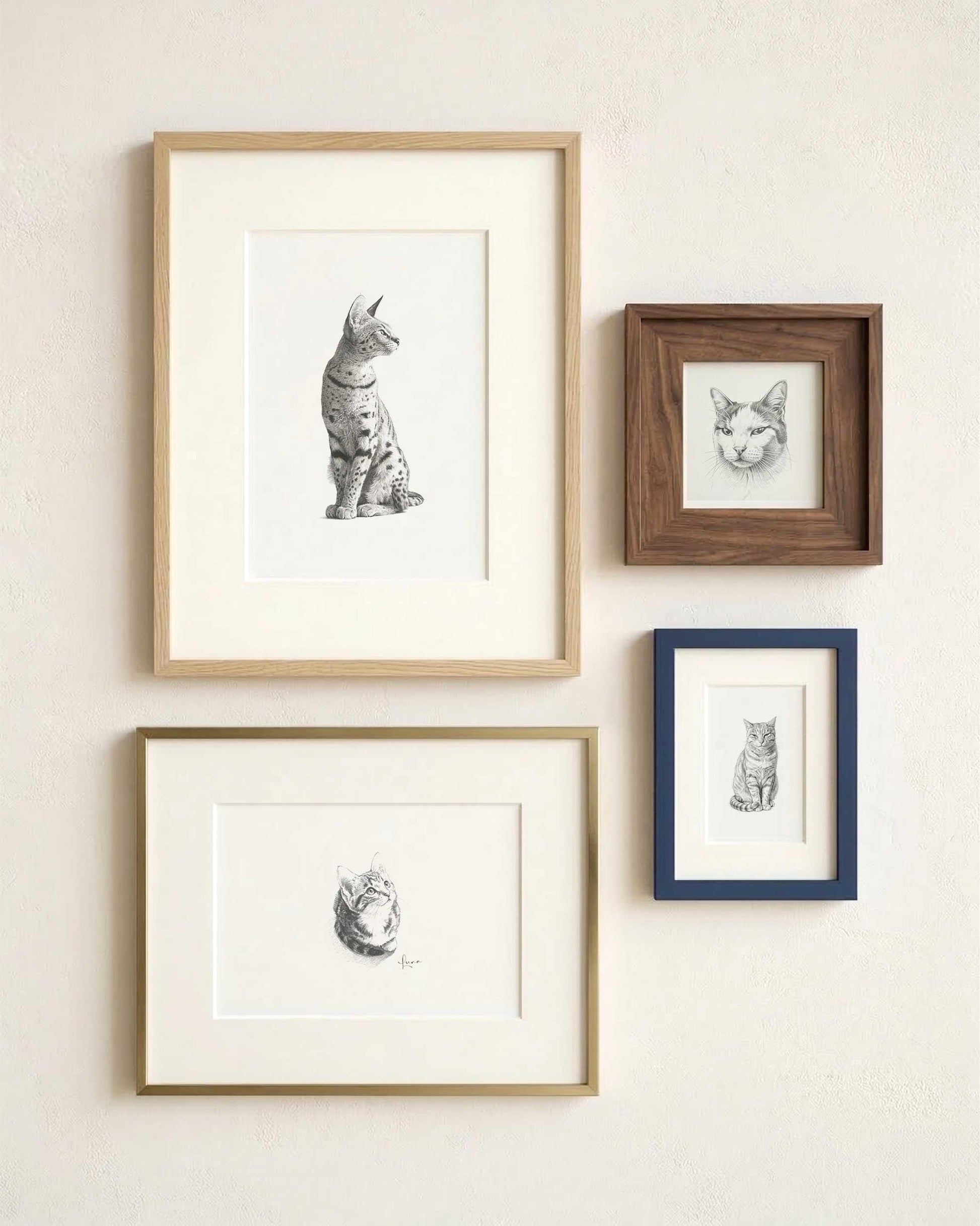 Custom Pet Portrait from Photo, Pencil Charcoal Bundle Drawing of cats in different frames
