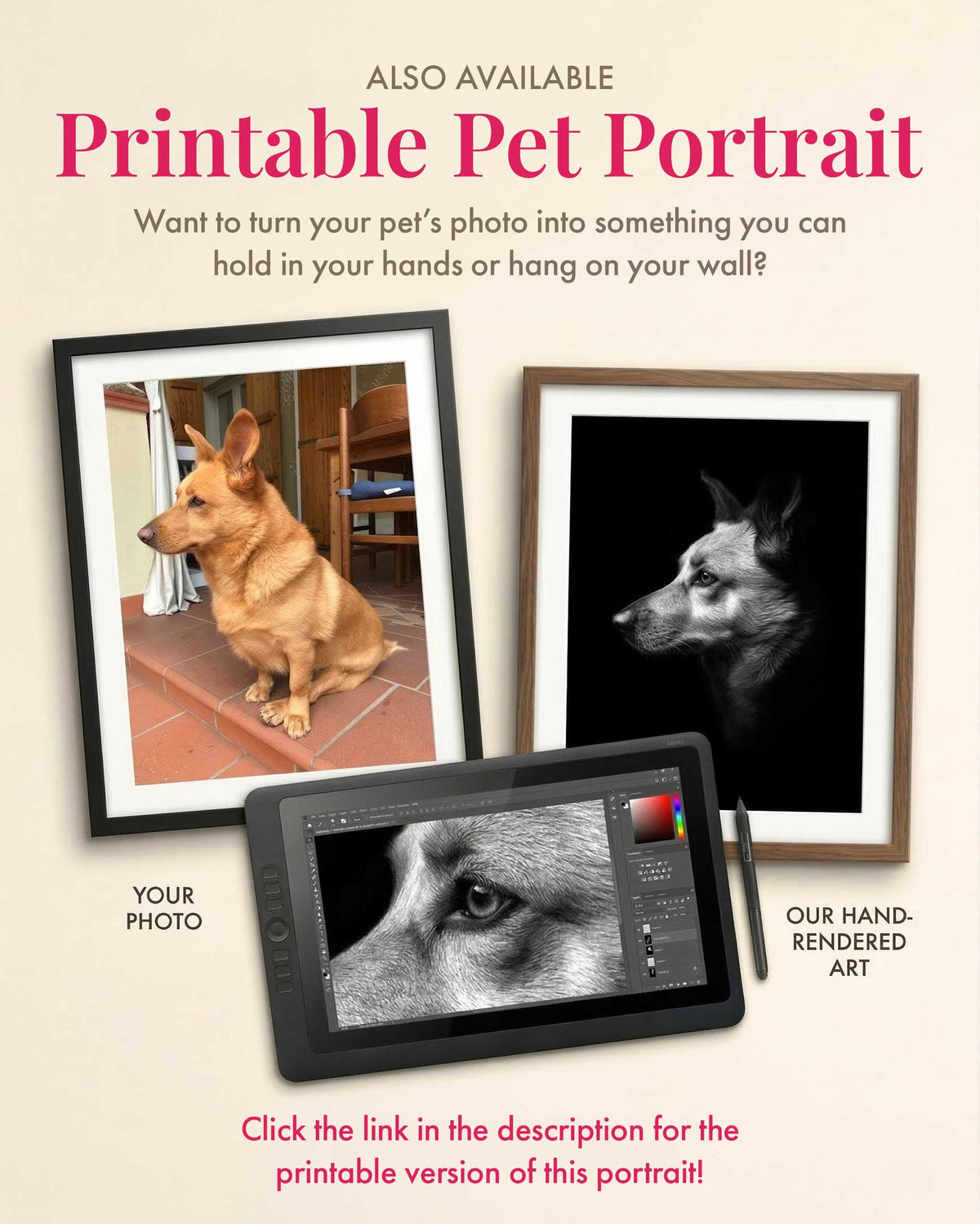 Custom Pet Portrait Wallpaper Black & White Fine Art for iPhone iPad Desktop Frame TV