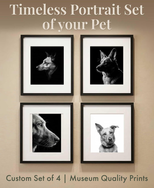 Set of four black and white custom dog portraits in black frames with white mats, arranged in a two-by-two gallery wall display on a warm neutral wall, showing dramatic fine art pet photography style.