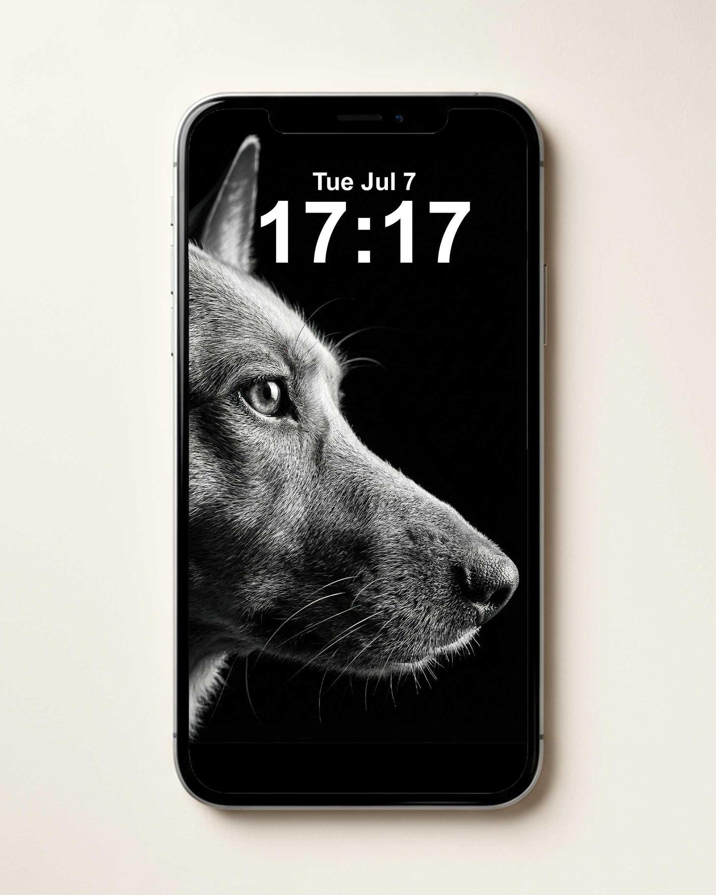 Custom Pet Portrait Wallpaper Black & White Fine Art for iPhone iPad Desktop Frame TV