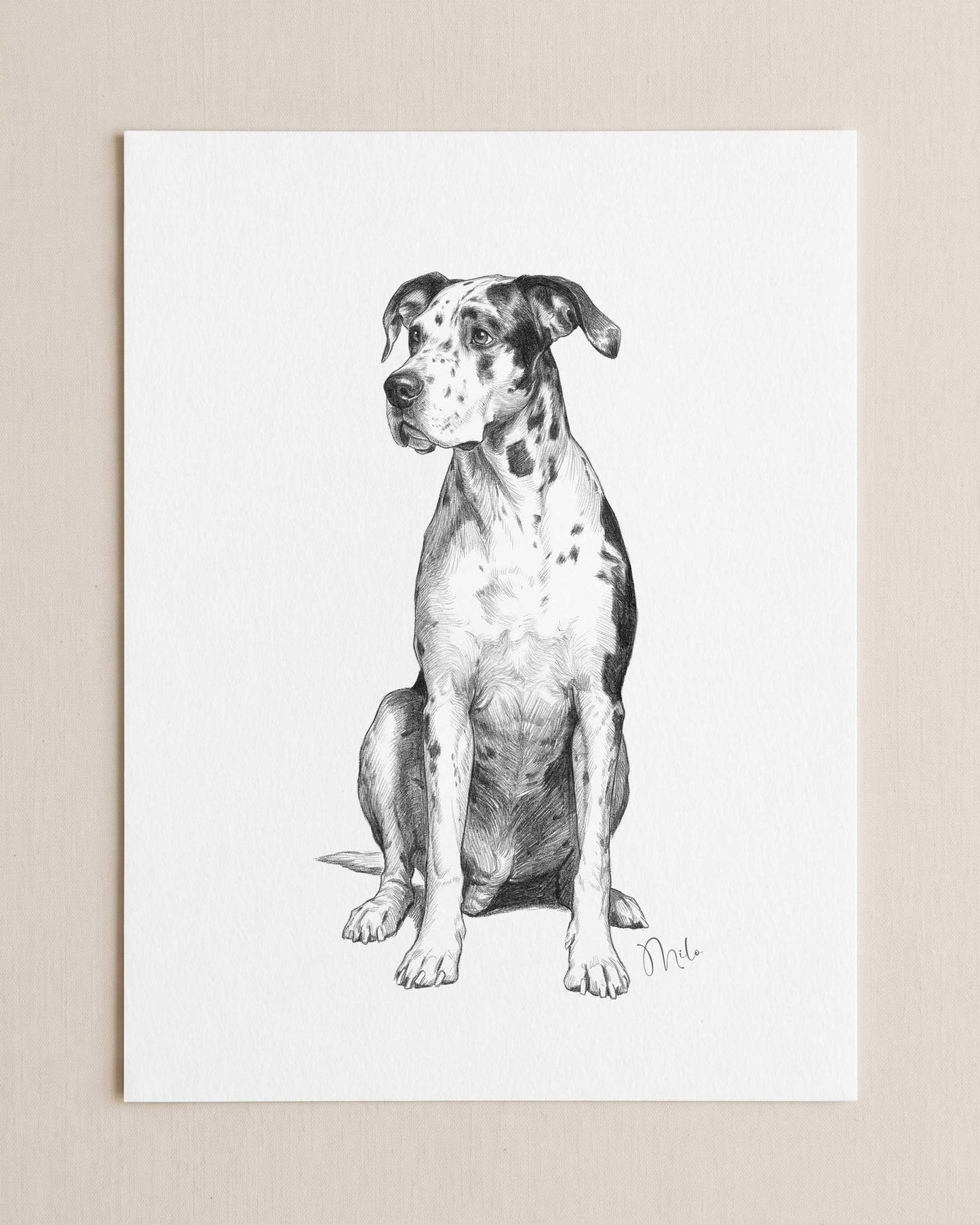 Custom Pet Portrait From Photo Pencil Charcoal Drawing Digital Download