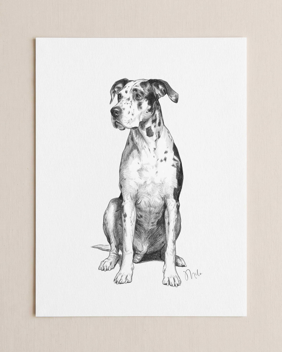 Custom Pet Portrait From Photo Pencil Charcoal Drawing Digital Download