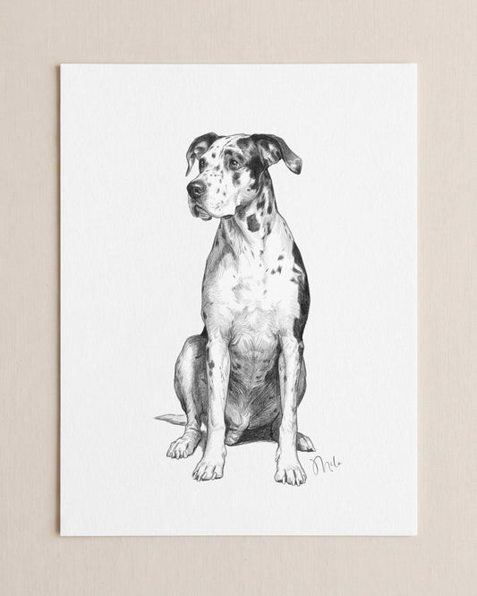 Custom Pet Portrait From Photo Pencil Charcoal Drawing Digital Download