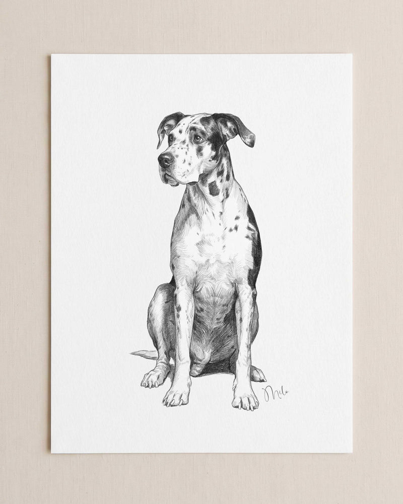 Custom Pet Portrait From Photo Pencil Charcoal Drawing Digital Download
