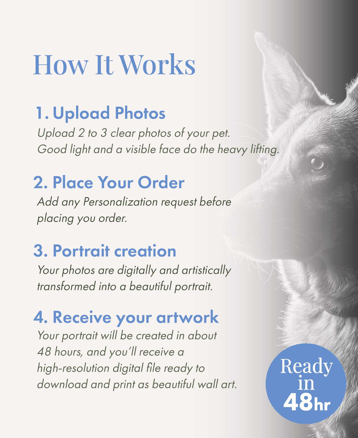 Custom Pet Portrait Wallpaper Black & White Fine Art for iPhone iPad Desktop Frame TV
