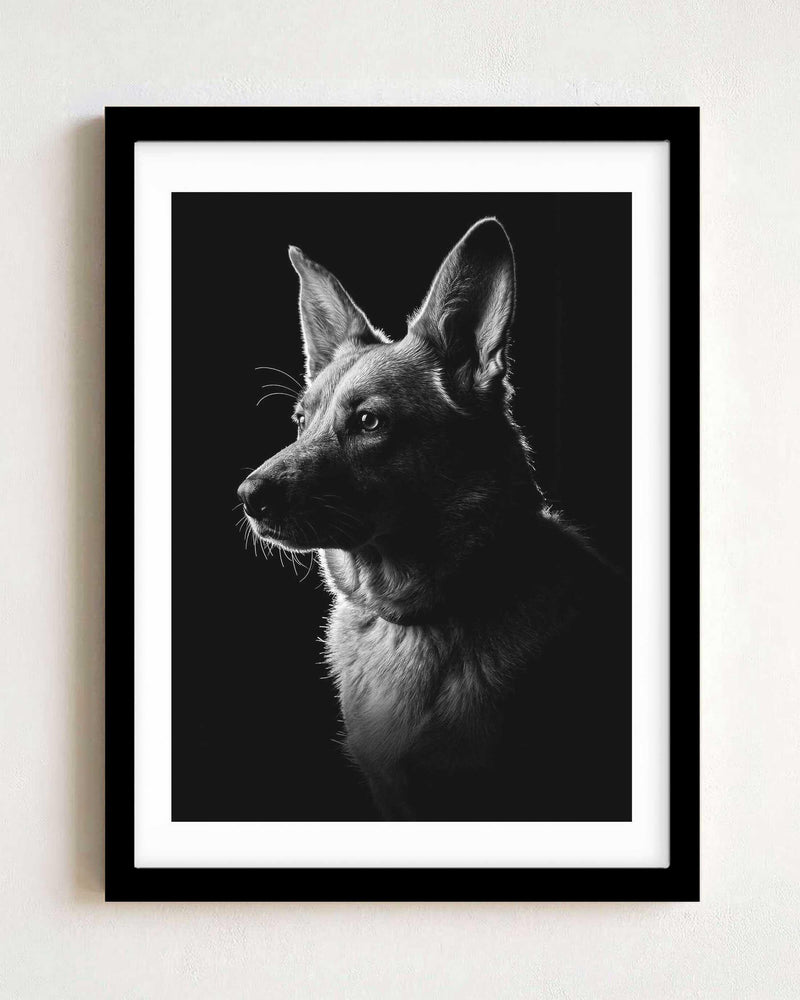 May include: A black and white framed print featuring a side profile portrait of a German Shepherd dog. The dog is captured in high contrast lighting against a solid black background, highlighting the texture of its fur and pointed ears.