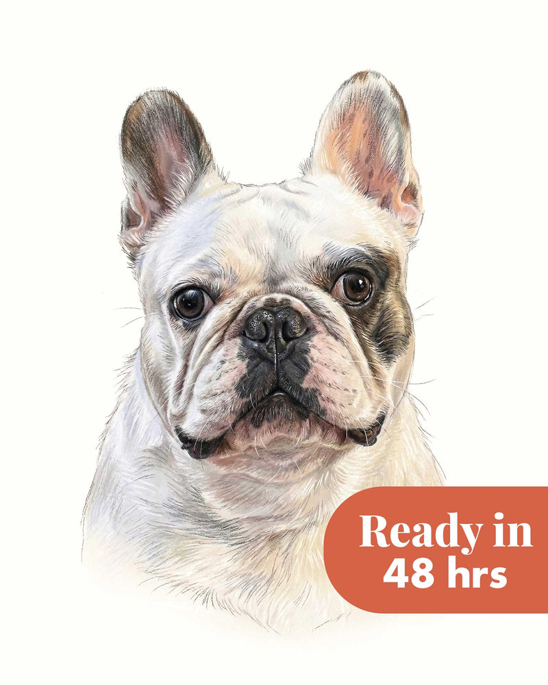 Custom Pastel Pet Portrait from Photo, Personalized Dog Gift with Name, Digital Download