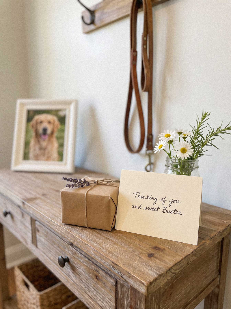 What to Give Someone After Their Dog Dies